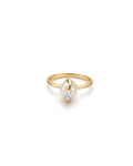 Xara Spectra Ring